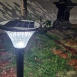 Transforming Gardens into Sustainable Havens: The Role of Solar Garden Lights